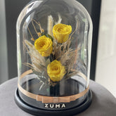 Preserved Roses Collection